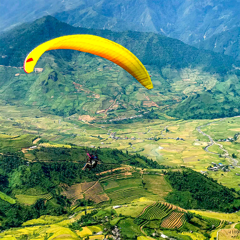 Đèo Khau Phạ - điểm du lượt bay trên mùa vàng