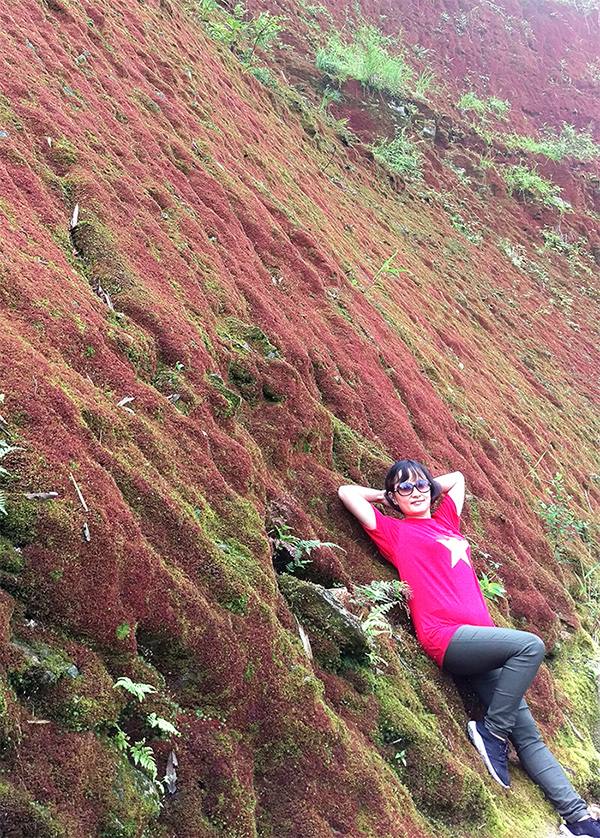 Thảm tảo đỏ trên núi Chiêu Lâu Thi